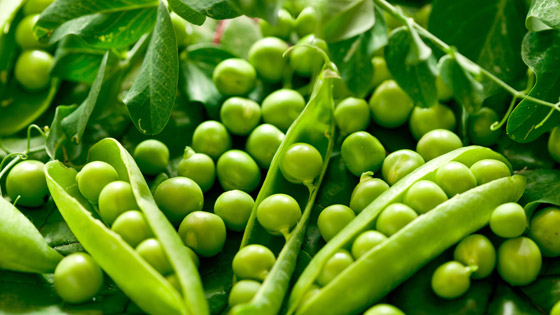 18 خيارا غذائيا أساسيا مذهلا لفقدان الوزن الزائد قبل موسم الصيف صورة رقم 3