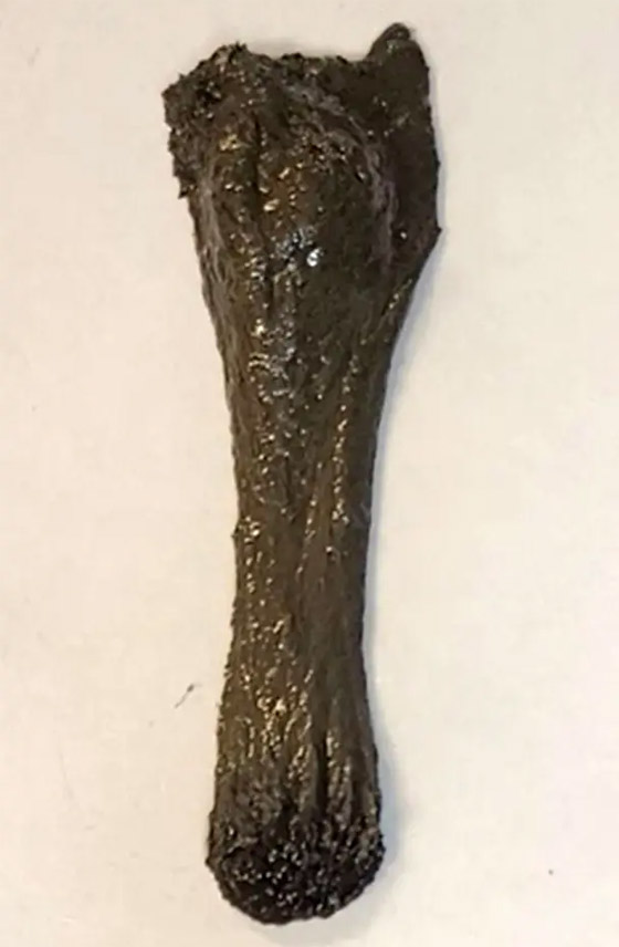 فيديو لا يصدق.. روبوت لزج بخصائص مميزة يدخل أجسادنا! صورة رقم 6 فيديو لا يصدق.. روبوت لزج بخصائص مميزة يدخل أجسادنا! صورة رقم 6