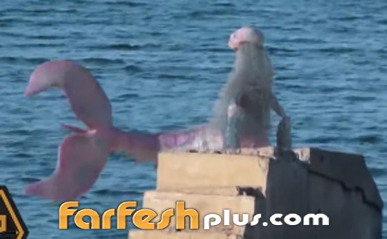 بالفيديو: ظهور حورية البحر على أحد الشواطئ.. حقيقة أم خدعة؟ صورة رقم 3 بالفيديو: ظهور حورية البحر على أحد الشواطئ.. حقيقة أم خدعة؟ صورة رقم 3