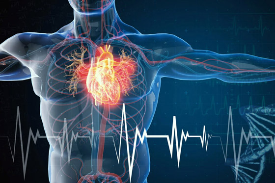 تورم البطن وفقدان التركيز.. 10 أعراض لفشل القلب يسهل الإغفال عنها صورة رقم 9 تورم البطن وفقدان التركيز.. 10 أعراض لفشل القلب يسهل الإغفال عنها صورة رقم 9