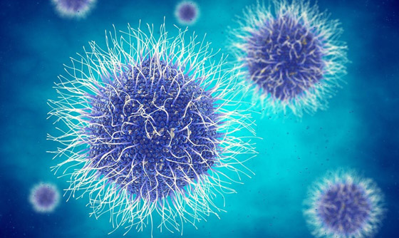 اكتشاف آلاف الفيروسات الجديدة بالمحيطات.. بعضها شبيه بكورونا! صورة رقم 4