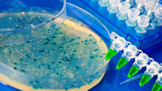 اكتشاف آلاف الفيروسات الجديدة بالمحيطات.. بعضها شبيه بكورونا! صورة رقم 3