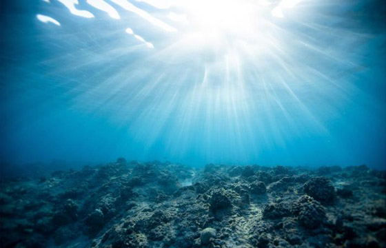 اكتشاف آلاف الفيروسات الجديدة بالمحيطات.. بعضها شبيه بكورونا! صورة رقم 6