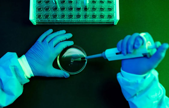 اكتشاف آلاف الفيروسات الجديدة بالمحيطات.. بعضها شبيه بكورونا! صورة رقم 7