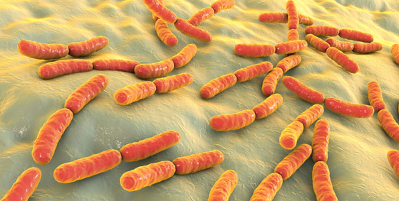 بكتيريا قادرة على إفراز شذرات الذهب.. هل يمكننا استغلالها بصنع الذهب؟ صورة رقم 2
