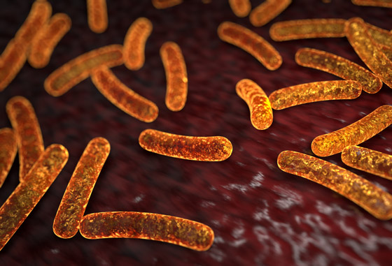 بكتيريا قادرة على إفراز شذرات الذهب.. هل يمكننا استغلالها بصنع الذهب؟ صورة رقم 3