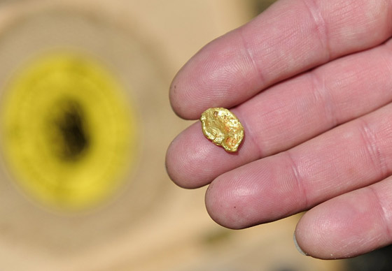 بكتيريا قادرة على إفراز شذرات الذهب.. هل يمكننا استغلالها بصنع الذهب؟ صورة رقم 6