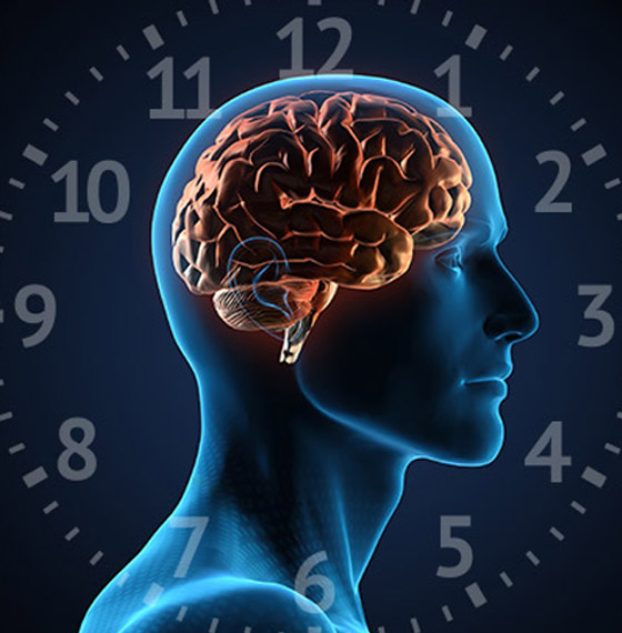 أجب عن هذه الأسئلة.. واعرف عمر عقلك الحقيقي بدقائق! صورة رقم 5 أجب عن هذه الأسئلة.. واعرف عمر عقلك الحقيقي بدقائق! صورة رقم 5