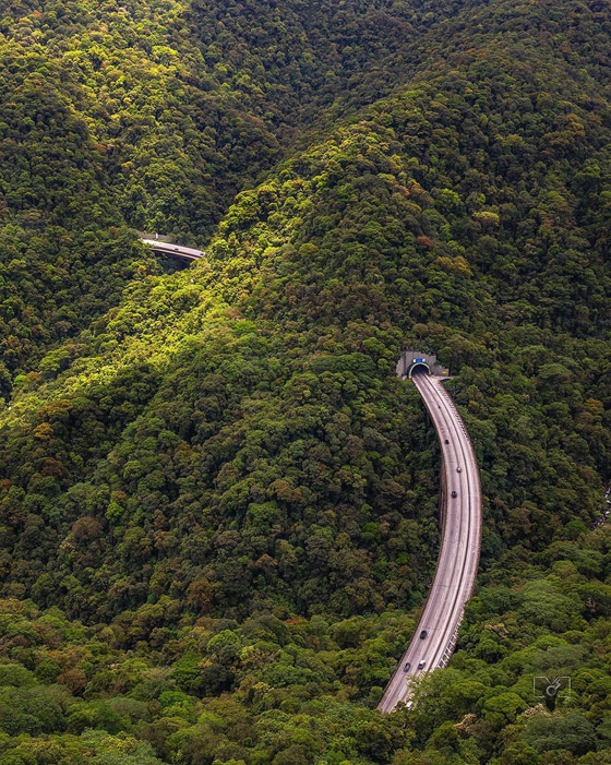 ممر يشق الأشجار بالجزائر؟.. صورة لمنظر خلاب تشعل التواصل صورة رقم 1 ممر يشق الأشجار بالجزائر؟.. صورة لمنظر خلاب تشعل التواصل صورة رقم 1