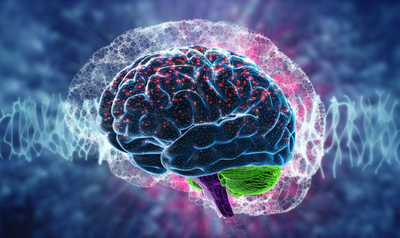 الخيال العلمي حقيقة: زراعة روبوتات صغيرة بدماغ الإنسان لعلاج الأمراض صورة رقم 2 الخيال العلمي حقيقة: زراعة روبوتات صغيرة بدماغ الإنسان لعلاج الأمراض صورة رقم 2