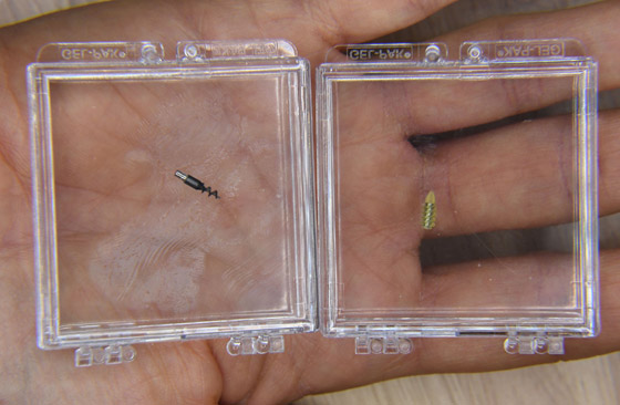 الخيال العلمي حقيقة: زراعة روبوتات صغيرة بدماغ الإنسان لعلاج الأمراض صورة رقم 5 الخيال العلمي حقيقة: زراعة روبوتات صغيرة بدماغ الإنسان لعلاج الأمراض صورة رقم 5