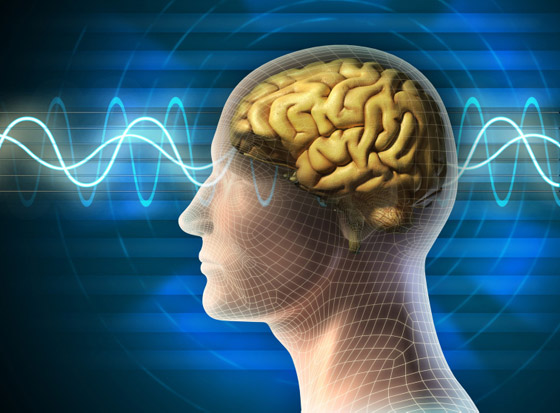 الخيال العلمي حقيقة: زراعة روبوتات صغيرة بدماغ الإنسان لعلاج الأمراض صورة رقم 6 الخيال العلمي حقيقة: زراعة روبوتات صغيرة بدماغ الإنسان لعلاج الأمراض صورة رقم 6