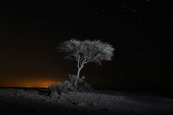 13 شيئًا مخيفاً غريزياً للإنسان صورة رقم 10