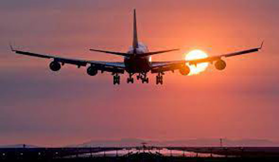 13 شيئًا مخيفاً غريزياً للإنسان صورة رقم 11