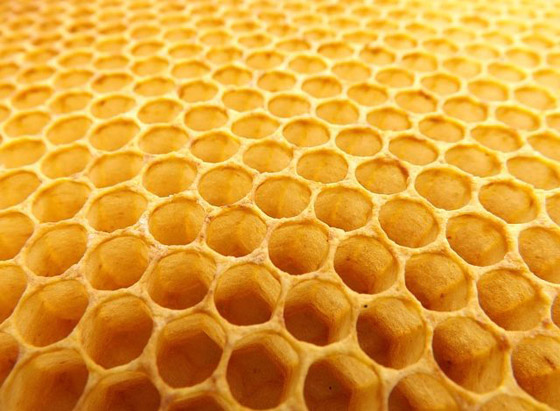 13 شيئًا مخيفاً غريزياً للإنسان صورة رقم 14