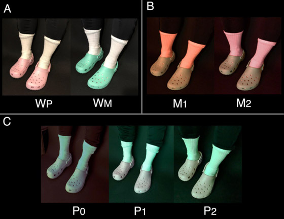 على نسق الفستان الشهير شاهد واحكم.. هل هذا حذاء أخضر أم وردي؟ صورة رقم 7