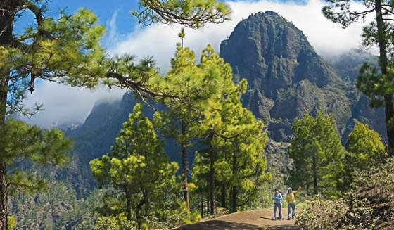 كل ما تحتاجه لإجازة مثالية.. 10 أسباب تدفعك لزيارك جزيرة لا بالما صورة رقم 4 كل ما تحتاجه لإجازة مثالية.. 10 أسباب تدفعك لزيارك جزيرة لا بالما صورة رقم 4