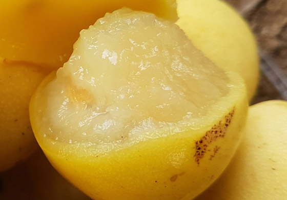 أغرب فواكه في العالم 2022 صورة رقم 11