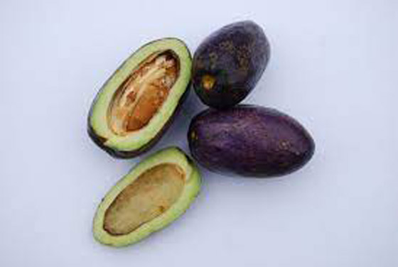 أغرب فواكه في العالم 2022 صورة رقم 14