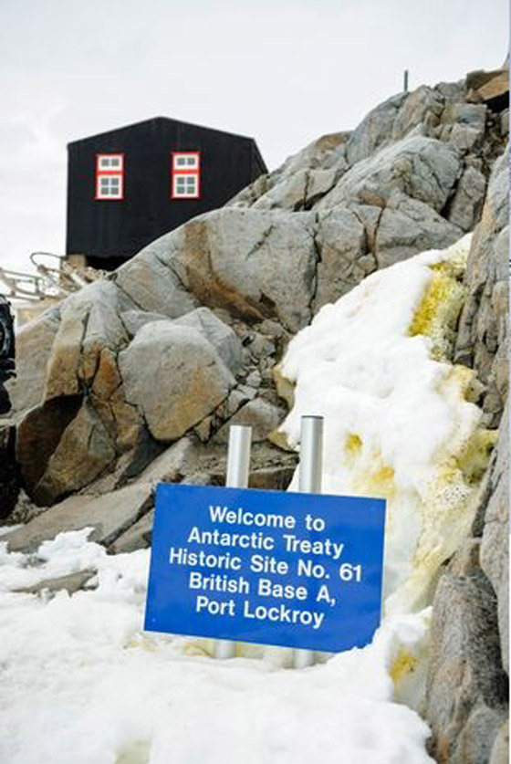 وظيفة نادرة تشمل عد طيور البطريق في أبعد مكتب بريد بالعالم صورة رقم 2