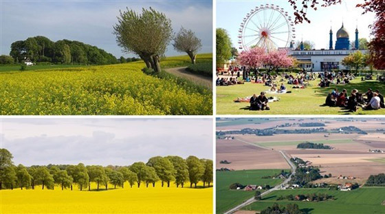 8 نصائح للاستمتاع بعطلة عائلية في جنوب السويد صورة رقم 8