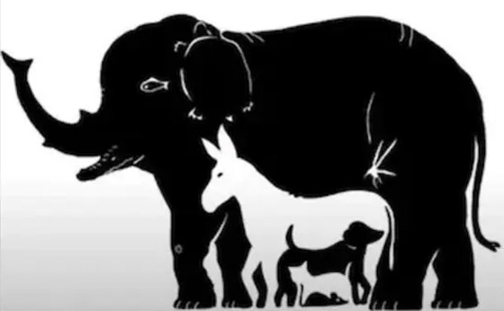 هل يمكنك تخمين عدد الحيوانات بالصورة؟ الجواب سيصدمك! صورة رقم 1 هل يمكنك تخمين عدد الحيوانات بالصورة؟ الجواب سيصدمك! صورة رقم 1