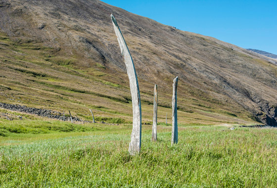 مرعب لكن سياحي.. 