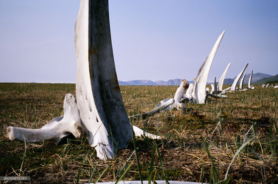 مرعب لكن سياحي.. 