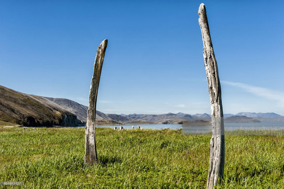 مرعب لكن سياحي.. 