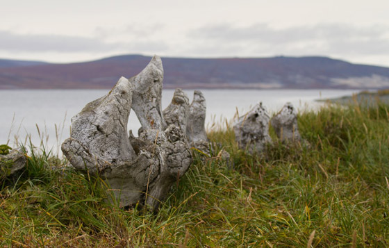 مرعب لكن سياحي.. 