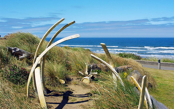 مرعب لكن سياحي.. 