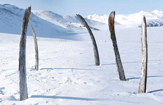 مرعب لكن سياحي.. 