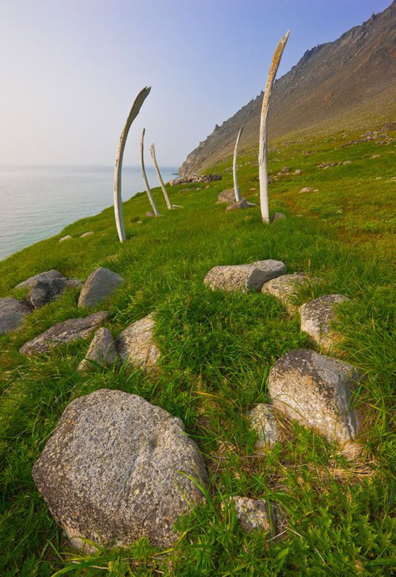 مرعب لكن سياحي.. 