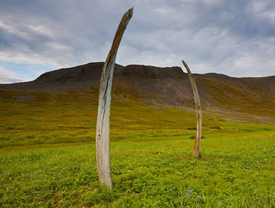 مرعب لكن سياحي.. 