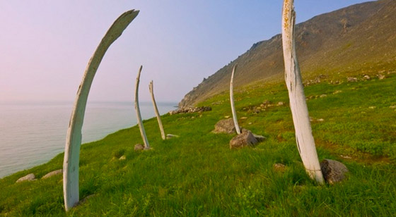 مرعب لكن سياحي.. 