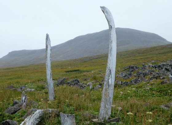 مرعب لكن سياحي.. 