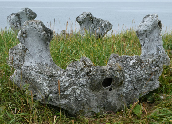 مرعب لكن سياحي.. 