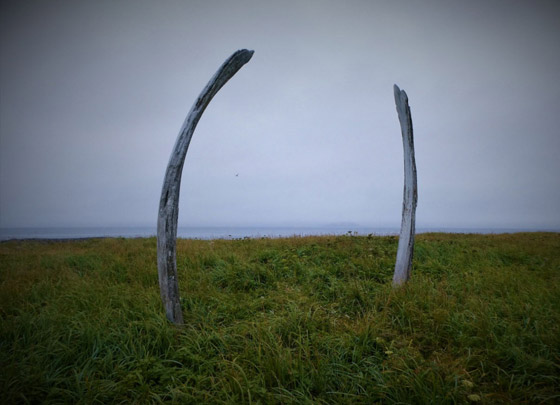 مرعب لكن سياحي.. 