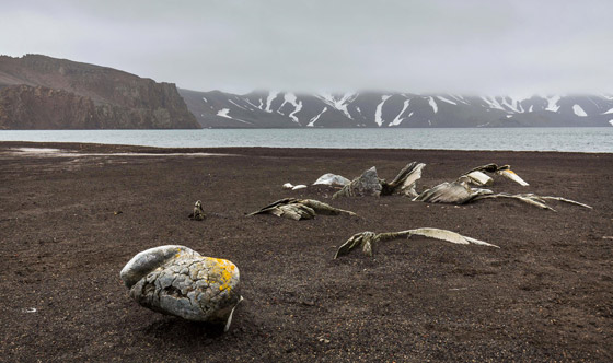 مرعب لكن سياحي.. 