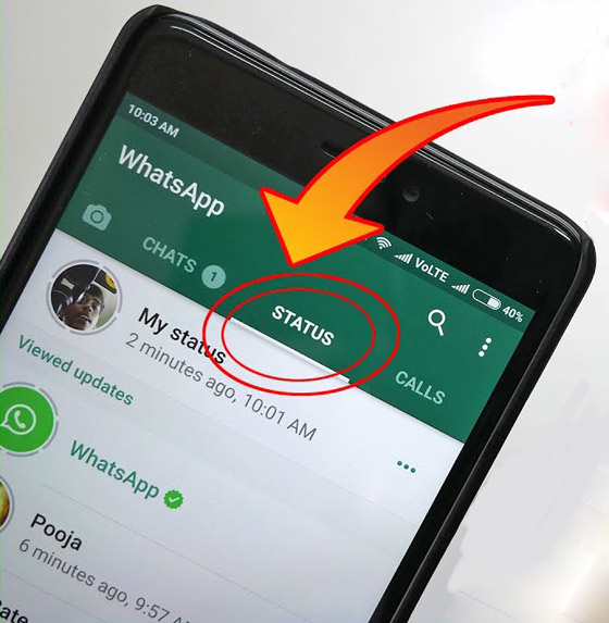 بنكهة إنستغرام.. واتساب يجهز لـ