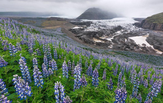 بالصور: إليكم 6 من أكثر طرق الرحلات البرية جاذبية حول العالم صورة رقم 1