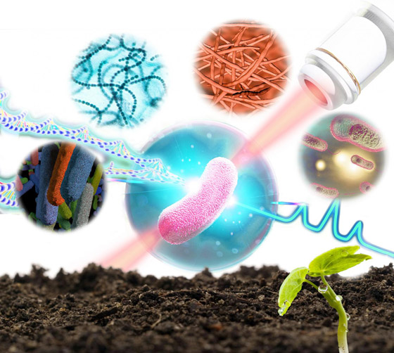 من بكتيريا التربة.. علماء يطورون طريقة من بكتيريا التربة.. علماء يطورون طريقة