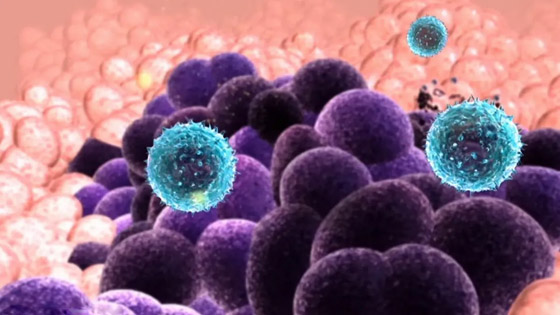 من بكتيريا التربة.. علماء يطورون طريقة من بكتيريا التربة.. علماء يطورون طريقة