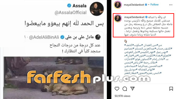 أصالة تصف منتقديها بالكلاب! مي العيدان شبهتها بـ أصالة تصف منتقديها بالكلاب! مي العيدان شبهتها بـ