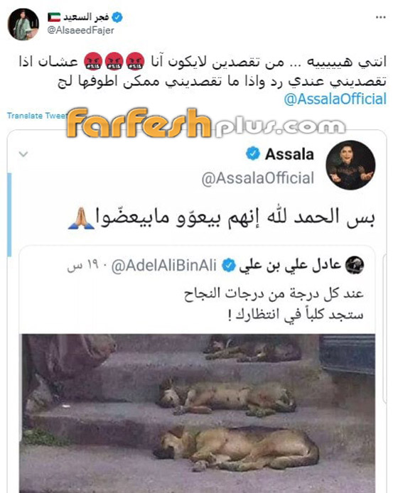 أصالة تصف منتقديها بالكلاب! مي العيدان شبهتها بـ أصالة تصف منتقديها بالكلاب! مي العيدان شبهتها بـ