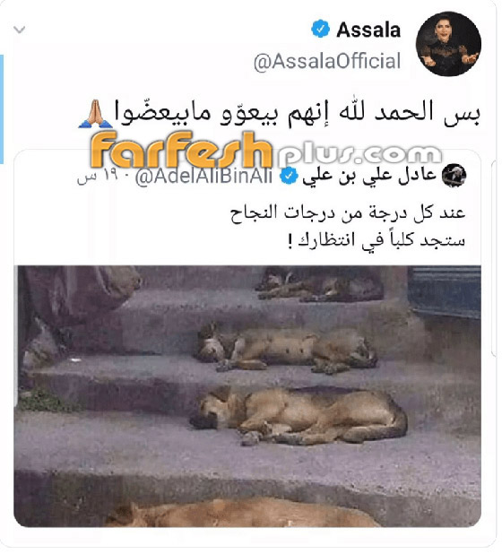 أصالة تصف منتقديها بالكلاب! مي العيدان شبهتها بـ أصالة تصف منتقديها بالكلاب! مي العيدان شبهتها بـ