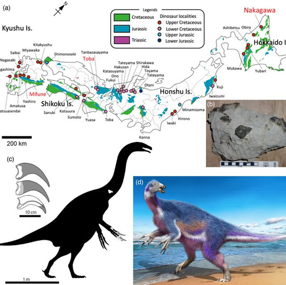 اكتشاف نوع جديد من الديناصورات في اليابان.. وهكذا بدا! فيديو صورة رقم 5 اكتشاف نوع جديد من الديناصورات في اليابان.. وهكذا بدا! فيديو صورة رقم 5