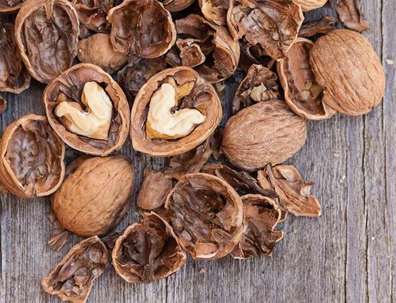 لا ترمها بالقمامة.. بقايا هذه الأطعمة أفضل ما قد يغذي نباتاتك المنزلية صورة رقم 5 لا ترمها بالقمامة.. بقايا هذه الأطعمة أفضل ما قد يغذي نباتاتك المنزلية صورة رقم 5