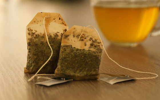 لا ترمها بالقمامة.. بقايا هذه الأطعمة أفضل ما قد يغذي نباتاتك المنزلية صورة رقم 7 لا ترمها بالقمامة.. بقايا هذه الأطعمة أفضل ما قد يغذي نباتاتك المنزلية صورة رقم 7