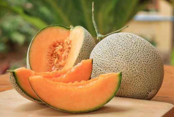 6 فوائد مذهلة ستجعل الشمام فاكهتكم الصيفية المفضلة صورة رقم 3 6 فوائد مذهلة ستجعل الشمام فاكهتكم الصيفية المفضلة صورة رقم 3